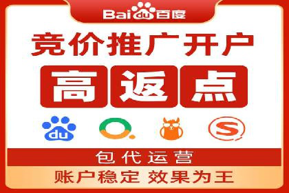 竞价广告在XX行业的成功应用案例